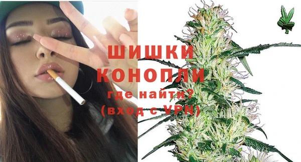 Альфа ПВП Аркадак
