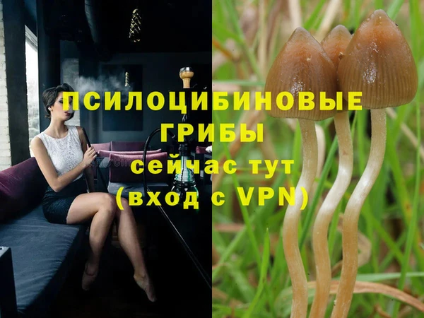 марки nbome Алексин