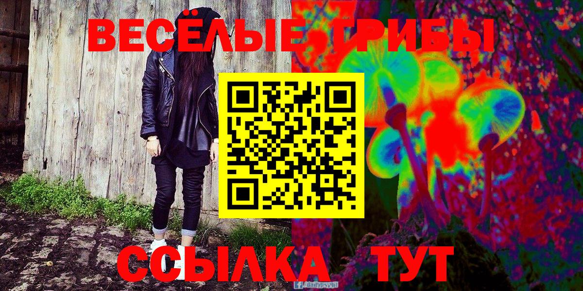 Галлюциногенные грибы Psilocybe  Вход с VPN  Петропавловск-Камчатский  Галлюциногенные грибы Psilocybe 